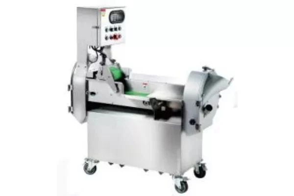 Multifunctional Vegetable Cutter