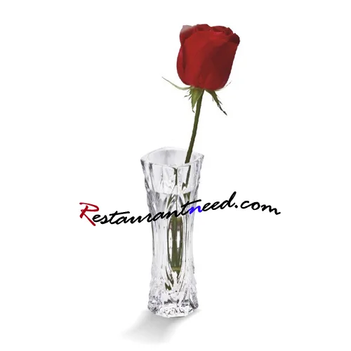 H167mm Acrylic Concave Body Vase